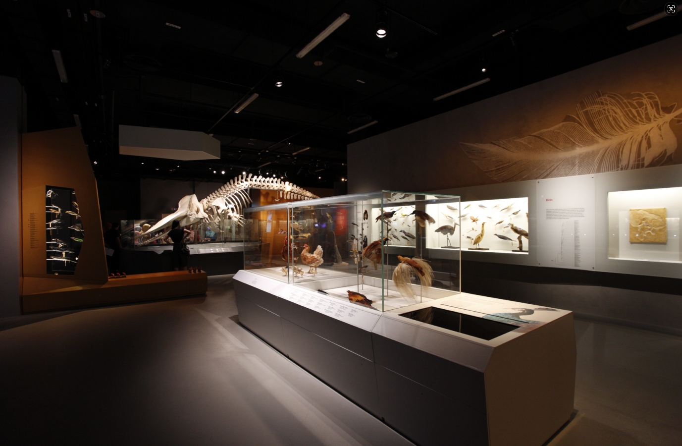 博物館敘事展覽：互動性原則